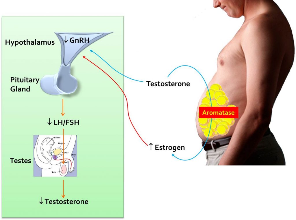 Testosterone Therapy For Men » Revive Low T Clinic